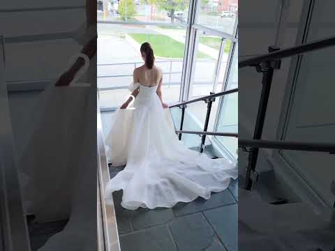 Wedding Dress Trains