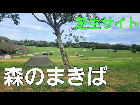 【千葉県】広大な芝生サイトでソロキャンプ【千葉県キャンプ場】【夏キャンプ】【森のまきばオートキャンプ場】