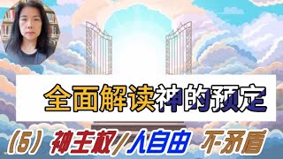 全面解读「神的预定」（5）:  「神的主权」和「人的自由」并非对立，而是和谐统一的关系