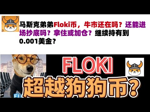 马斯克弟弟Floki币，牛市还在吗？还能进场抄底吗？拿住或加仓？继续持有到0.001美金？#Floki币#马斯克弟弟发行币#Floki币行情分析！