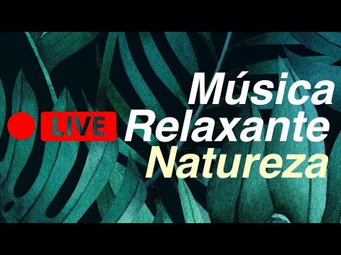 LIVE 🟢 Acalma Minha Alma com NATUREZA 🌳: Sons Relaxantes 24/7 para Bem-Estar