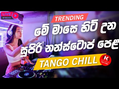 Shaa fm sindu kamare  nonstop 2024 | best sinhala  song collection | aluth sindu 83