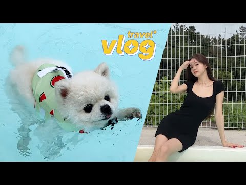 여행 vlog🌼 뭉치랑 가족 여행🐶🥰