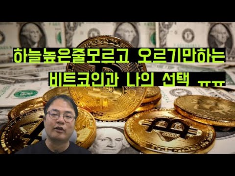 빅테크의 비트코인 매입 가능성과 나의 선택