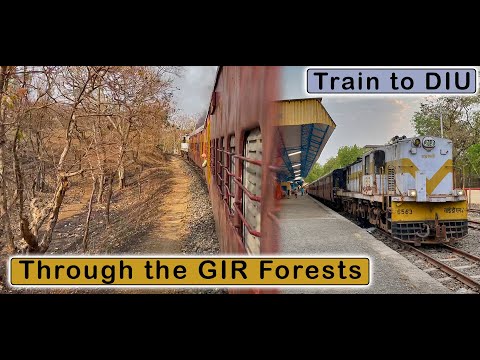 JUNAGARH to DELVADA : Meter Guage Train Journey to DIU via Gir Forests | March 2022