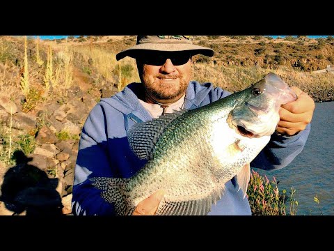 Big Strike Fishing | Fishing | Fish Catching | Best Fishing Techniques |