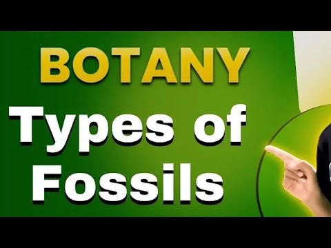 fossils type of fossils #botany #msc#1semester #important #bsc