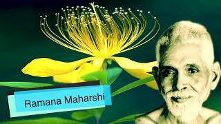 Ramana Maharshi : Practical Lessons In Selfless Actions ~ What Is Selfless Action And How To Do It?