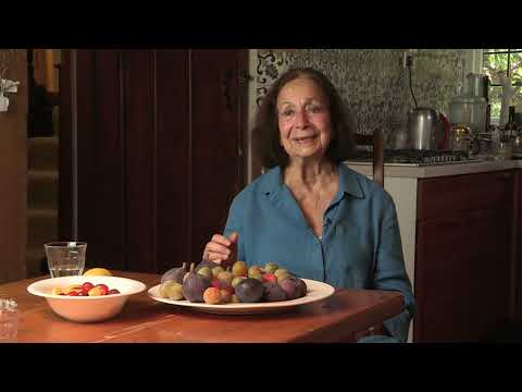 Claudia Roden - Testing different recipes (29/155)