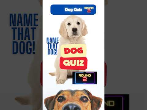 Can You Name The Dog? 🐶 | Dog Trivia Challenge (Round 2) #dog #trivia