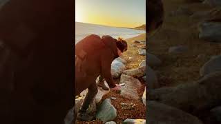 The making of magic and rune finding #runesreading #runes #sunset #sea #wavesounds #beach #nature