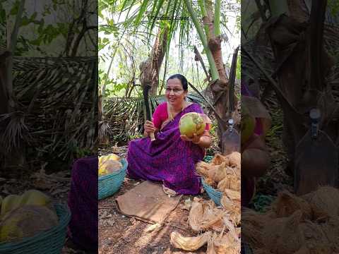 नारळ सोलण्याची कोकणी पारंपारिक पद्धत | कोकण❤️ | कृष्णाई गझने