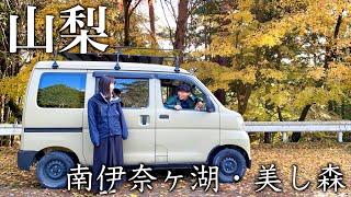 [Light van car overnight] Meet swans at Lake Minami Inaga and eat hoto. [Yamanashi]