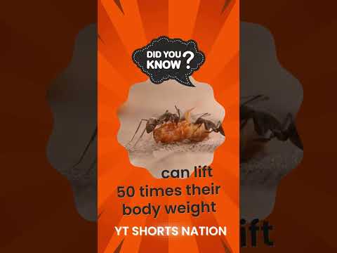 Did you know these facts🧐😎#shorts #facts #viral