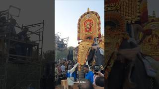 Thrikkadavoor Sivaraju | Anayadi Pooram | #anayadipooram2025 #anayadi #gajamela #trendingshorts