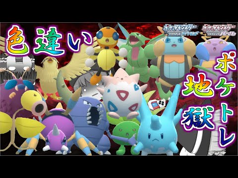 【ポケモンBDSP】ポッポとサニーゴが大量発生したから色違い欲しい…じゃあついでに229番道路と230番水道の色違いポケトレで全部ゲットしちゃお♡【ゆっくり実況】