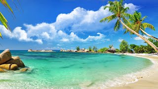 Relax Music 🌴 Bossa Nova Beach 🌴 Bossa Nova with Ocean Waves for Good Mood