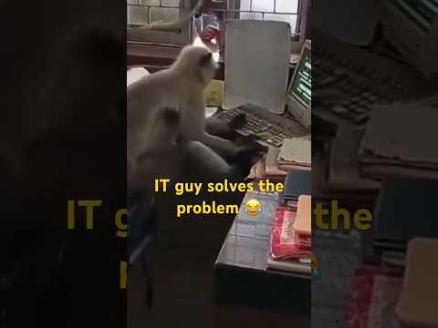 IT guy solves the problem