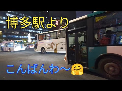 【バスが行き交う夜の博多駅】心癒される夜景スポット🤗7−6