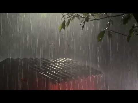 Sleep Instantly Within 3 Minutes with Heavy Rain & Thunder on Ancient House in Foggy Forest at Night