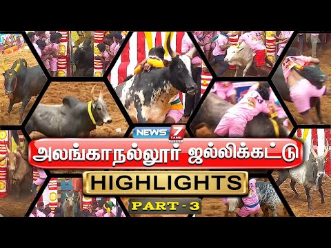 Highlights 3 : அலங்காநல்லூர் ஜல்லிக்கட்டு 2025 | Alanganallur Jallikattu 2025 | Jallikattu 2025