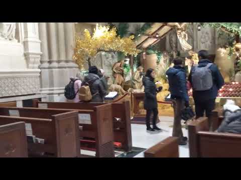 2024 Thanksgiving Mass at St. Patrick's Cathedral-Manhattan NY感恩节去帕特里克大教堂做弥撒-纽约曼哈顿-感恩赞美上帝的美秒诗歌音乐直达天庭