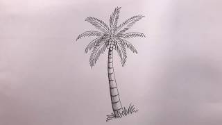 COCONUT tree Drawing Easy Tutorial | Narkel/Dab gas Drawing