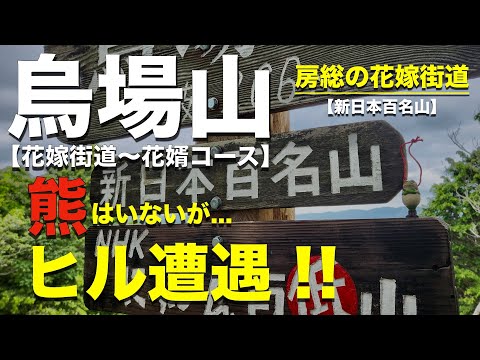 【烏場山】千葉の新日本百名山＆百低山「花嫁街道」の山に登ってみた！