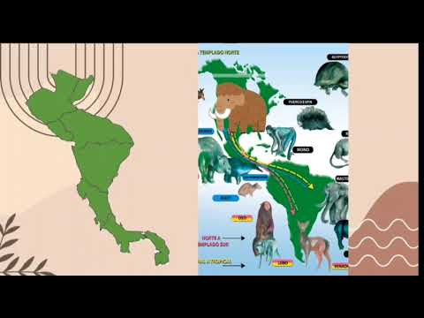 El mamut de la era del hielo en la vida real./Paleontología de Nicaragua.