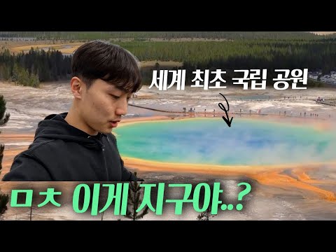 *문화 충격* 눈 앞에서 이런 장면을…(옐로우스톤 국립공원)[무계획 북미 로드트립 ep.5]