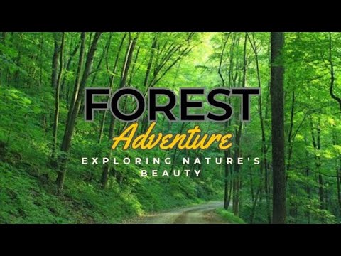 FOREST Adventure: Exploring Nature's Beauty in 3 Minutes