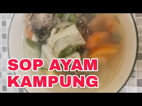 Resep sop ayam kampung ...