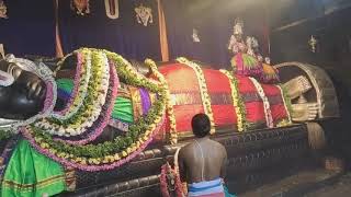 Sri Ranganatha swami temple (Perumal) #srirangam