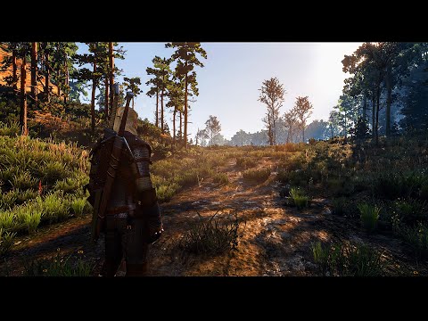 [2K] The Witcher 3► Realistified || My ReShade Showcase