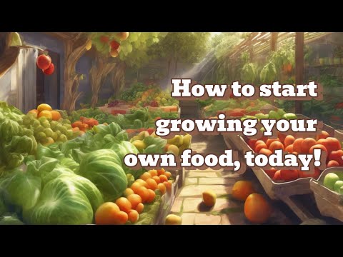 How you can start growing your own food, today!