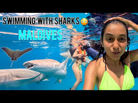 I SURVIVED swimming With NURSE SHARKS in MALDIVES 🇲🇻😳🦈