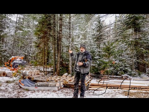 Cleaning up dead wood around the cabin, next year's firewood