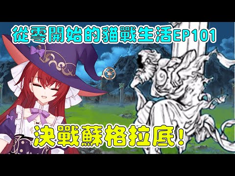 【貓咪大戰爭】從零開始的貓戰生活EP101 決戰全新零傳！蘇格拉底！