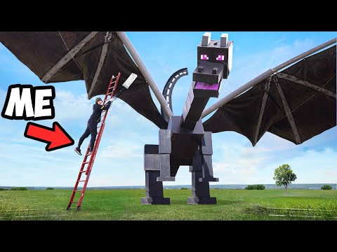 Worlds Largest Ender Dragon!