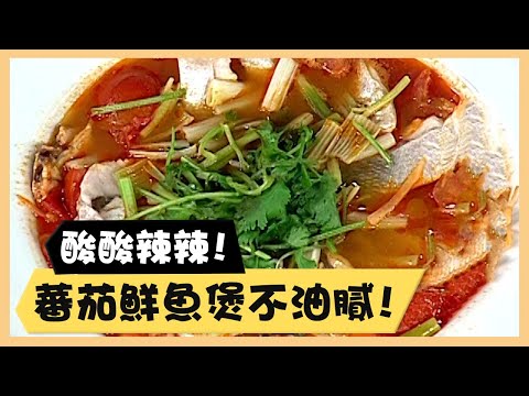 酸酸辣辣！蕃茄鮮魚煲不油膩！《食全食美廚房好MAN》EP52 李李仁｜料理｜食譜｜DIY