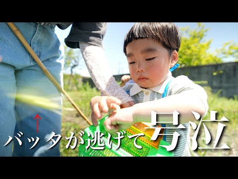 【4世代で過ごす】バッタが逃げて大号泣する子どもの日