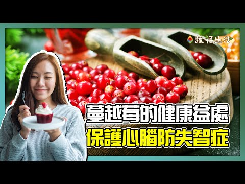 保護心腦防失智　蔓越莓健康益處多｜蔬福生活