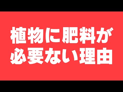 【図解】菌根菌の世界【植物に不可欠なパートナー】（VA菌根菌・マイコス・AM菌・菌ちゃん農法・有機農法・自然農）