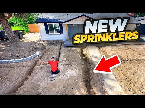 Save $$$ With This Diy Sprinkler System And Grass Combo!