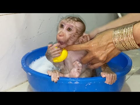 Cute Baby boy Sit For Mom To Take A Bath Look is Very Cute