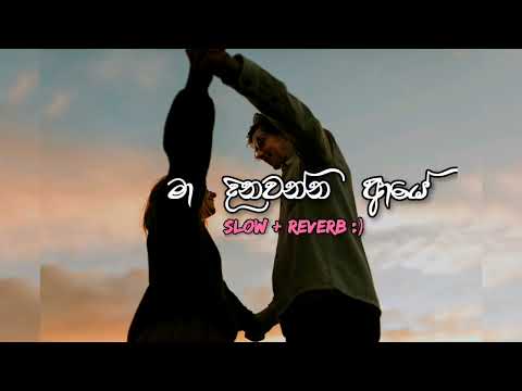 මා දිනවන්න ආයේ | Ma dinawanna aye ( slowed + reverb :)