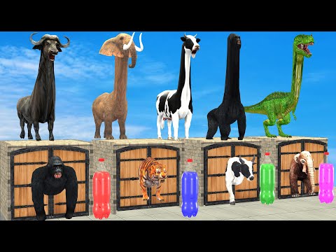 Choose The Right Mystery Drink Bottle With Elephant Mammoth Gorilla Cow Hippo Max Level LONG LEGS