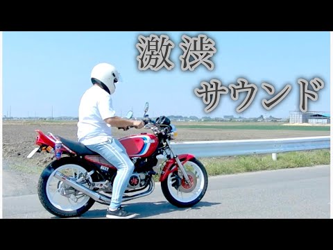 RZ250を整備したったww【爆音】