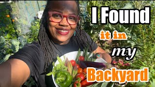 Harvest Dinner & Cook with Me | Beef Stir-fry #harvest #smallspacegardening #zone7bgardening