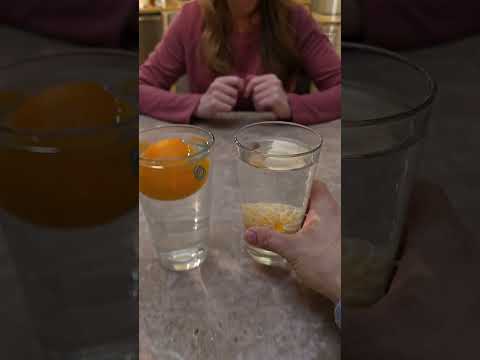 Oranges can float and sink?!? #shortsfeed #youtubeshorts #science #school #funny #brainrot #fyp